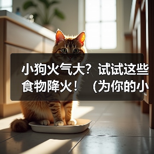 小狗火气大？试试这些食物降火！（为你的小狗选择适合的食物，舒缓体内火气的秘诀）（图2）