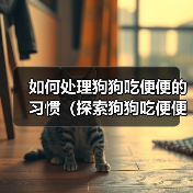 如何处理狗狗吃便便的习惯（探索狗狗吃便便的原因及有效的解决方法）（图3）