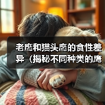 老鹰和猫头鹰的食性差异(揭秘不同种类的鹰喜好的食物以及原因)(图1) 老鹰和猫头鹰的食性差异(揭秘不同种类的鹰喜好的食物以及原因)(图1)
