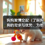 狗狗发情交配（了解狗狗的需求与优势，为他们找到完美的伴侣）（图3）