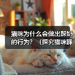 猫咪为什么会做出踩奶的行为?(探究猫咪踩奶行为的原因及意义)(图1) 猫咪为什么会做出踩奶的行为?(探究猫咪踩奶行为的原因及意义)(图1)