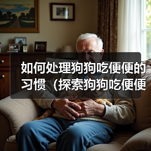如何处理狗狗吃便便的习惯（探索狗狗吃便便的原因及有效的解决方法）（图4）