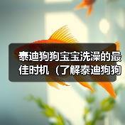 泰迪狗狗宝宝洗澡的最佳时机（了解泰迪狗狗宝宝洗澡的适宜年龄和频率）（图1）