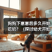 狗狗下崽崽后多久开始吃奶?(探讨幼犬开始进食母乳的时机及需求量)(图2) 狗狗下崽崽后多久开始吃奶?(探讨幼犬开始进食母乳的时机及需求量)(图2)