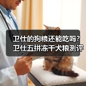 卫仕的狗粮还能吃吗？卫仕五拼冻干犬粮测评（图3）