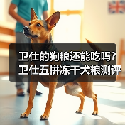 卫仕的狗粮还能吃吗？卫仕五拼冻干犬粮测评（图2）