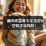 猫咪吃蛋黄不全是好处，警惕这些风险！（图3）