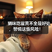 猫咪吃蛋黄不全是好处，警惕这些风险！（图4）