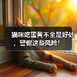猫咪吃蛋黄不全是好处,警惕这些风险!(图1) 猫咪吃蛋黄不全是好处,警惕这些风险!(图1)