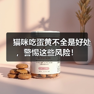 猫咪吃蛋黄不全是好处，警惕这些风险！（图2）