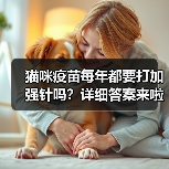 猫咪疫苗每年都要打加强针吗？详细答案来啦！（图2）
