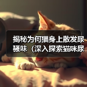 揭秘为何猫身上散发尿骚味（深入探索猫咪尿骚味的成因与解决方案）（图3）