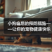 小狗瘟后的预防措施——让你的宠物健康快乐生活(细节决定成败,关键在于预防和保健)(图4) 小狗瘟后的预防措施——让你的宠物健康快乐生活(细节决定成败,关键在于预防和保健)(图4)