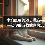小狗瘟后的预防措施——让你的宠物健康快乐生活(细节决定成败,关键在于预防和保健)(图2) 小狗瘟后的预防措施——让你的宠物健康快乐生活(细节决定成败,关键在于预防和保健)(图2)