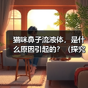 猫咪鼻子流液体，是什么原因引起的？（探究猫咪鼻子流液体的病因与治疗方法）（图2）