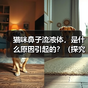 猫咪鼻子流液体，是什么原因引起的？（探究猫咪鼻子流液体的病因与治疗方法）（图1）