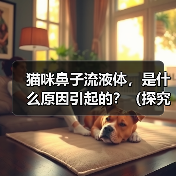 猫咪鼻子流液体，是什么原因引起的？（探究猫咪鼻子流液体的病因与治疗方法）（图4）