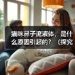 猫咪鼻子流液体，是什么原因引起的？（探究猫咪鼻子流液体的病因与治疗方法）（图3）