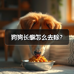 狗狗长癣怎么去除?(图4) 狗狗长癣怎么去除?(图4)