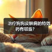 治疗狗狗皮肤病的特效药有哪些?(图4) 治疗狗狗皮肤病的特效药有哪些?(图4)