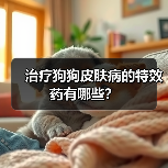 治疗狗狗皮肤病的特效药有哪些?(图3) 治疗狗狗皮肤病的特效药有哪些?(图3)