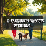 治疗狗狗皮肤病的特效药有哪些?(图2) 治疗狗狗皮肤病的特效药有哪些?(图2)