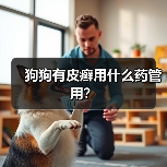 狗狗有皮癣用什么药管用?(图2) 狗狗有皮癣用什么药管用?(图2)