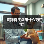 狗狗有皮癣用什么药管用?(图4) 狗狗有皮癣用什么药管用?(图4)