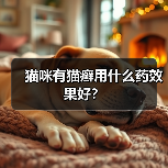 猫咪有猫癣用什么药效果好？（图4）