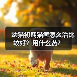 幼猫初期猫癣怎么治比较好？用什么药？（图3）