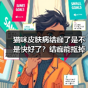 猫咪皮肤病结痂了是不是快好了?结痂能抠掉吗?(图2) 猫咪皮肤病结痂了是不是快好了?结痂能抠掉吗?(图2)