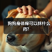 狗狗身体痒可以抹什么药?（图2）