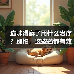 猫咪得癣了用什么治疗?别怕,这些药都有效!(图3) 猫咪得癣了用什么治疗?别怕,这些药都有效!(图3)