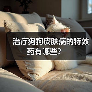 治疗狗狗皮肤病的特效药有哪些?(图1) 治疗狗狗皮肤病的特效药有哪些?(图1)
