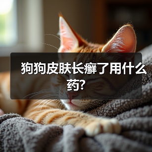 狗狗皮肤长癣了用什么药?（图1）