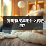 狗狗有皮癣用什么药管用?(图1) 狗狗有皮癣用什么药管用?(图1)