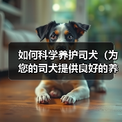 如何科学养护司犬（为您的司犬提供良好的养护环境）（图1）