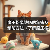 魔王松鼠缺钙的危害及预防方法（了解魔王松鼠缺钙会有哪些不良影响以及如何预防）（图4）