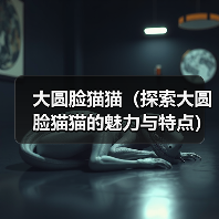 大圆脸猫猫（探索大圆脸猫猫的魅力与特点）（图2）