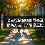 魔王松鼠缺钙的危害及预防方法（了解魔王松鼠缺钙会有哪些不良影响以及如何预防）（图3）