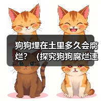 狗狗埋在土里多久会腐烂？（探究狗狗腐烂速度的关键因素）（图3）