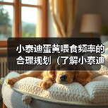 小泰迪蛋黄喂食频率的合理规划(了解小泰迪喂食蛋黄的最佳时间间隔)(图4) 小泰迪蛋黄喂食频率的合理规划(了解小泰迪喂食蛋黄的最佳时间间隔)(图4)