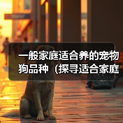 一般家庭适合养的宠物狗品种(探寻适合家庭的宠物狗品种,找到最合适的伙伴)(图1) 一般家庭适合养的宠物狗品种(探寻适合家庭的宠物狗品种,找到最合适的伙伴)(图1)