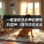 一般家庭适合养的宠物狗品种(探寻适合家庭的宠物狗品种,找到最合适的伙伴)(图2) 一般家庭适合养的宠物狗品种(探寻适合家庭的宠物狗品种,找到最合适的伙伴)(图2)