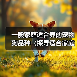 一般家庭适合养的宠物狗品种(探寻适合家庭的宠物狗品种,找到最合适的伙伴)(图4) 一般家庭适合养的宠物狗品种(探寻适合家庭的宠物狗品种,找到最合适的伙伴)(图4)