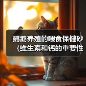 鹦鹉养殖的喂食保健砂（维生素和钙的重要性）（图1）