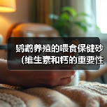 鹦鹉养殖的喂食保健砂（维生素和钙的重要性）（图2）