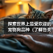 探索世界上最受欢迎的宠物狗品种(了解各类宠物狗品种的特点和魅力,选择你的理想伴侣)(图3) 探索世界上最受欢迎的宠物狗品种(了解各类宠物狗品种的特点和魅力,选择你的理想伴侣)(图3)
