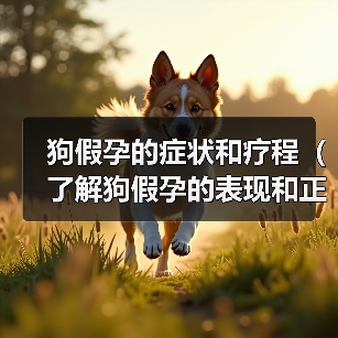 狗假孕的症状和疗程（了解狗假孕的表现和正确处理方式，帮助你的宠物恢复正常）（图1）
