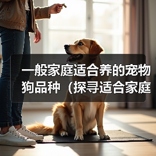 一般家庭适合养的宠物狗品种(探寻适合家庭的宠物狗品种,找到最合适的伙伴)(图3) 一般家庭适合养的宠物狗品种(探寻适合家庭的宠物狗品种,找到最合适的伙伴)(图3)